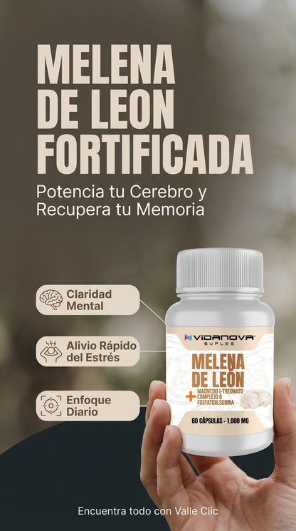 MELENA DE LEON FORTIFICADA Potencia tu Cerebro y Recupera tu Memoria