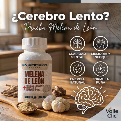 MELENA DE LEON FORTIFICADA Potencia tu Cerebro y Recupera tu Memoria
