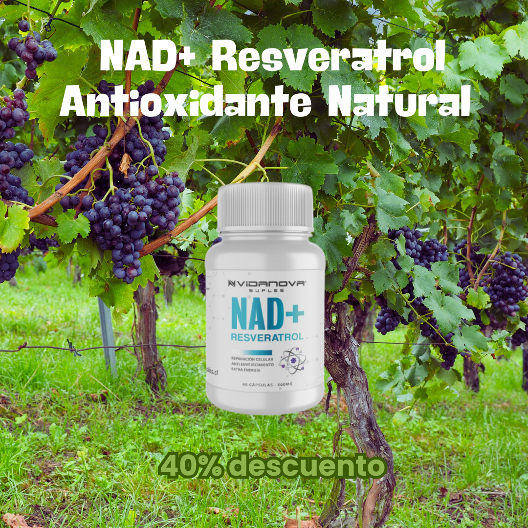 Protocolo Longevidad Celular PRO+ (Precursor de nad + Resveratrol)