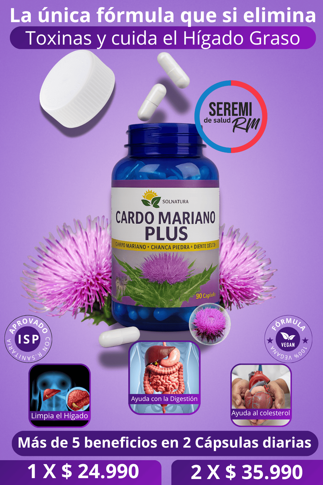 Cardo Mariano – Protección Natural del Hígado