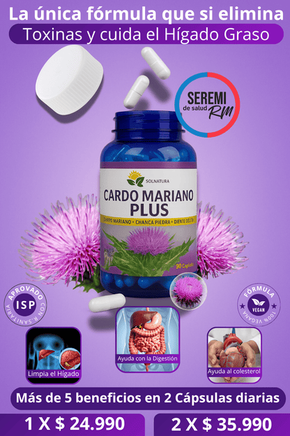 Cardo Mariano – Protección Natural del Hígado